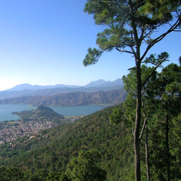 Visita la Resrva de Monte Alto – ESTADO DE MÉXICO, MARAVILLAS NATURALES